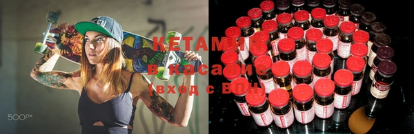 крисы Алзамай