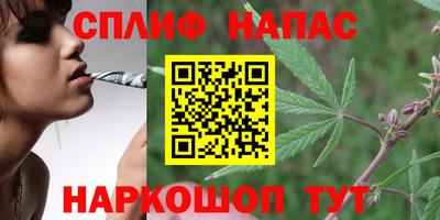 спиды Камышлов
