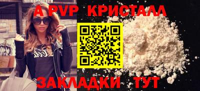 спиды Камышлов