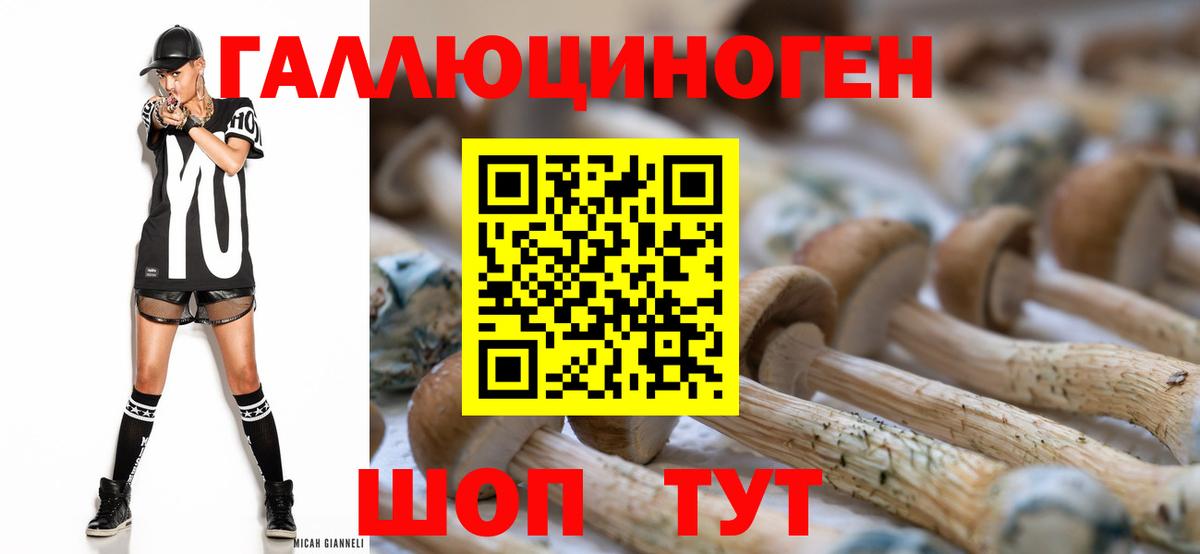 Галлюциногенные грибы Psilocybe  Вход с VPN  Троицк 